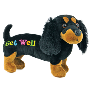Get Well plush weiner dog